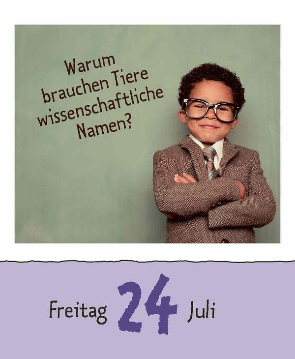 Produktbild: Wie faul ist das Faultier? 2026