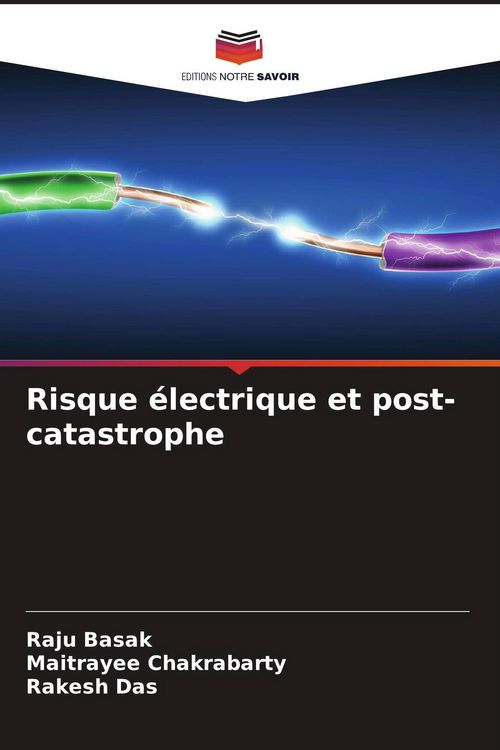 Produktbild: Risque &eacute;lectrique et post-catastrophe