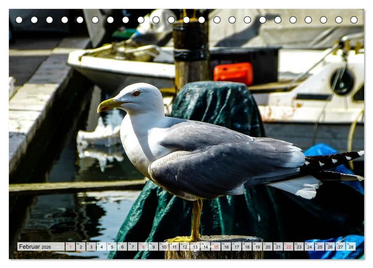 Produktbild: Chioggia - Venedigs kleine Schwester (Tischkalender 2026 DIN A5 quer), CALVENDO Monatskalender