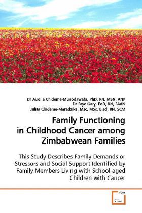 Produktbild: Chideme-Munodawafa, D: Family Functioning in Childhood Cance