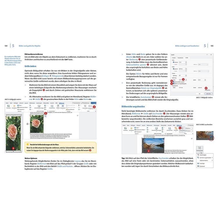 Produktbild: Word 2024 - Stufe 2: Aufbauwissen