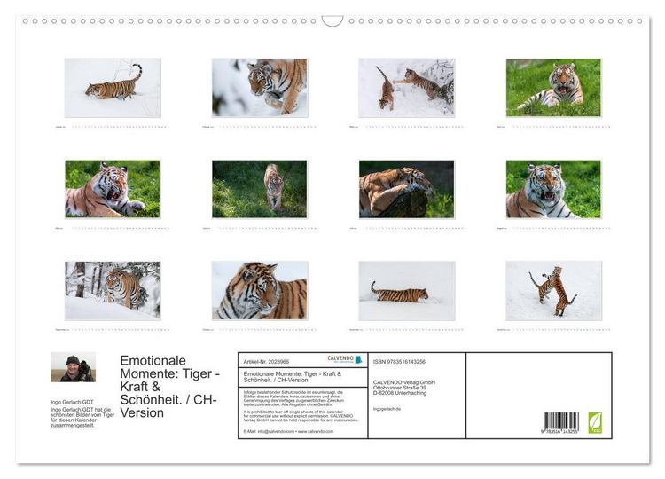 Produktbild: Emotionale Momente: Tiger - Kraft & Sch&ouml;nheit. / CH-Version (Wandkalender 2026 DIN A2 quer), CALVENDO Monatskalender
