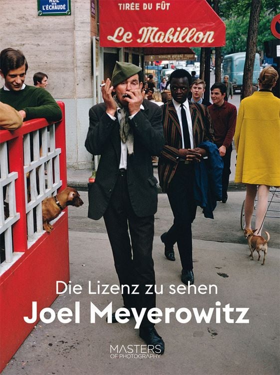 Bild vom Artikel Lizenz zu sehen: Joel Meyerowitz vom Autor Joel Meyerowitz