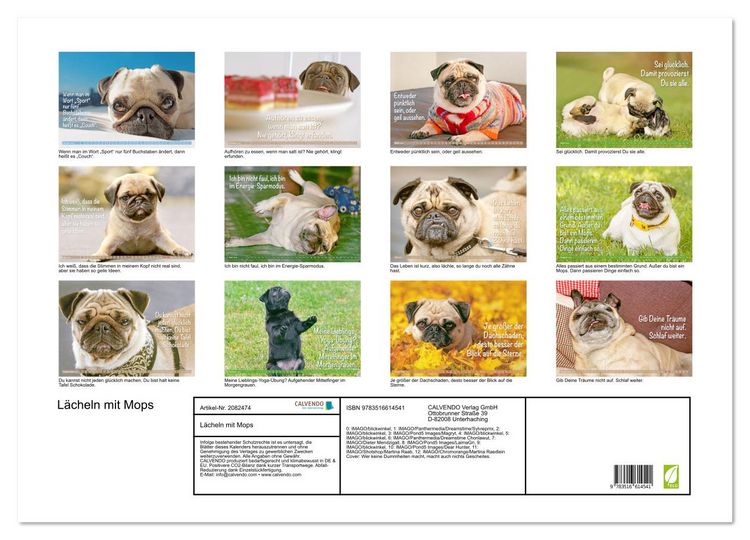 Produktbild: L&auml;cheln mit Mops (Wandkalender 2026 DIN A2 quer), CALVENDO Monatskalender