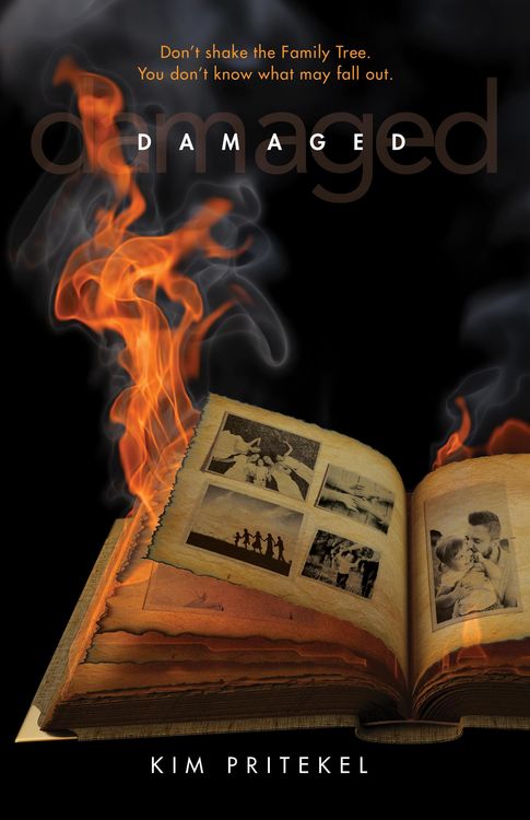 Produktbild: Damaged