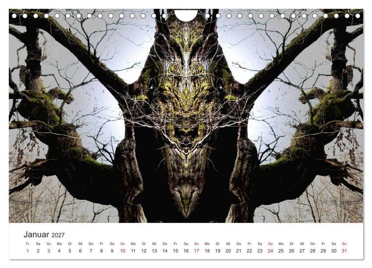 Produktbild: Spiegelwelten - Natur anders sehen (Wandkalender 2027 DIN A4 quer), CALVENDO Monatskalender