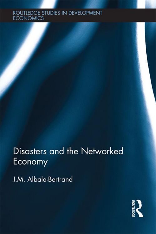 Produktbild: Disasters and the Networked Economy