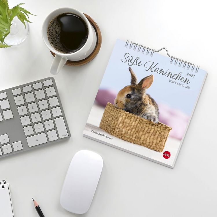 Produktbild: S&uuml;&szlig;e Kaninchen Postkartenkalender 2027