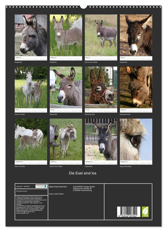Produktbild: Die Esel sind los (hochwertiger Premium Wandkalender 2026 DIN A2 hoch), Kunstdruck in Hochglanz