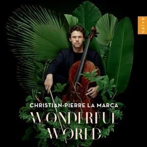 Produktbild: Wonderful World
