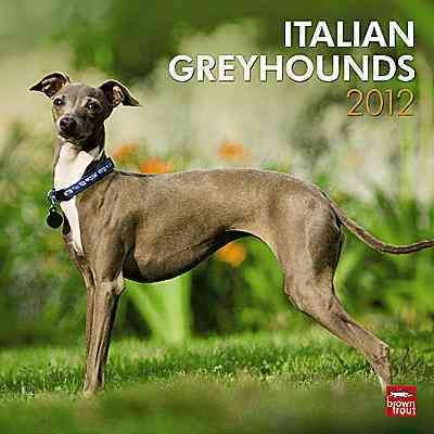 Produktbild: Italian Greyhounds 2012 Calendar