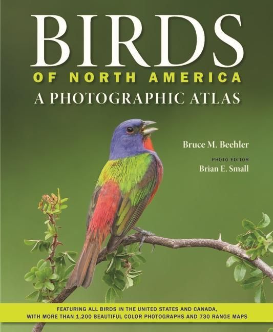 Produktbild: Birds of North America