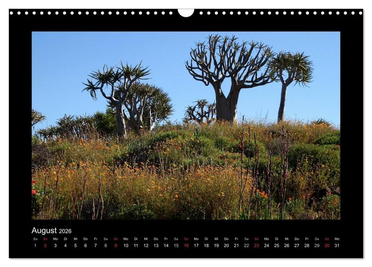 Produktbild: W&auml;lder, fotografiert auf vier Kontinenten (Wandkalender 2026 DIN A3 quer), CALVENDO Monatskalender