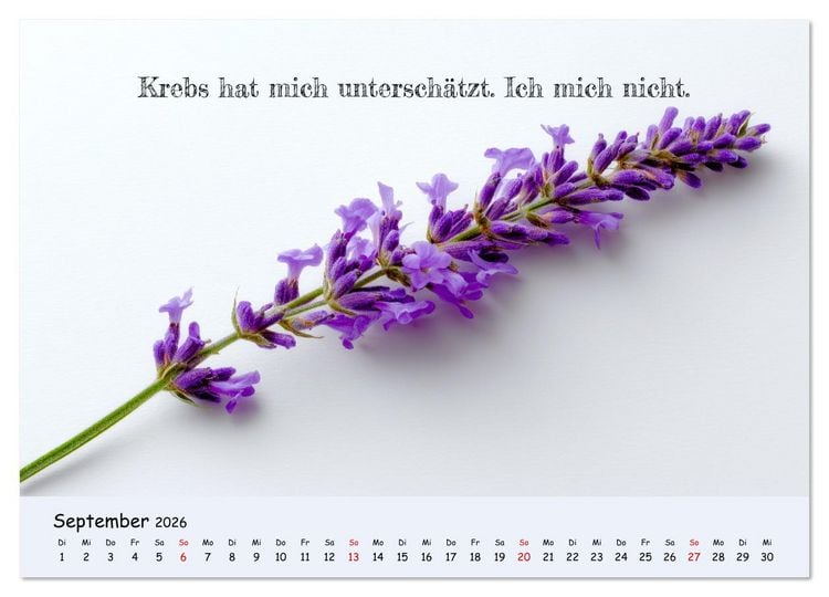 Produktbild: Krebs ist ein Vollidiot - Kalender f&uuml;r alle K&auml;mpfer mit Krebserkrankung (Wandkalender 2026 DIN A4 quer), CALVENDO Monatskalender