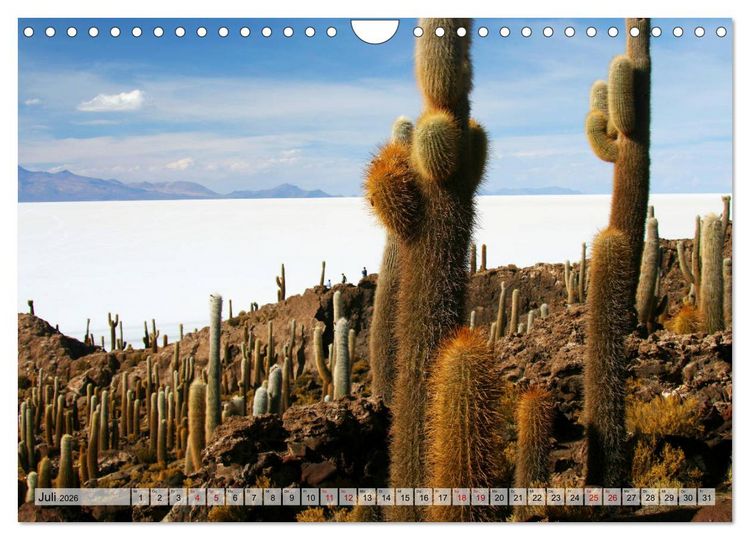 Produktbild: Abenteuer Anden - Peru und Bolivien (Wandkalender 2026 DIN A4 quer), CALVENDO Monatskalender