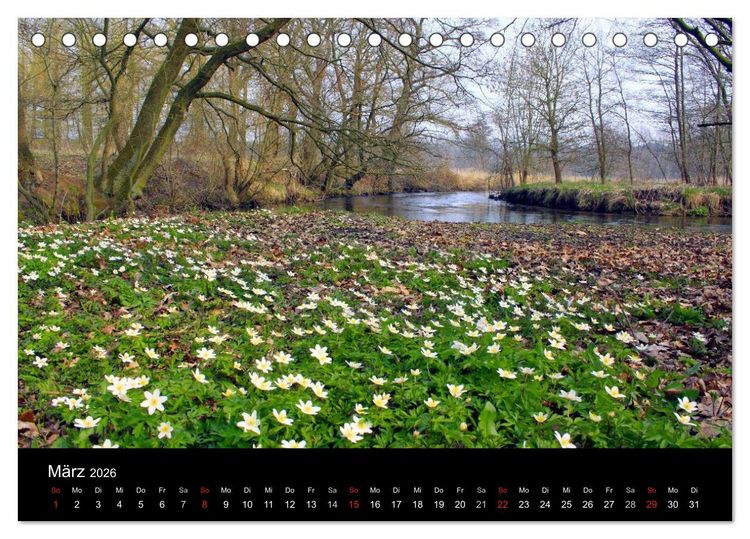 Produktbild: L&uuml;neburg und die L&uuml;neburger Heide (Tischkalender 2026 DIN A5 quer), CALVENDO Monatskalender