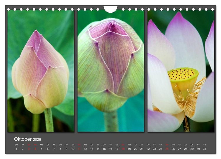 Produktbild: MEDITATION Zeit f&uuml;r mich (Wandkalender 2026 DIN A4 quer), CALVENDO Monatskalender