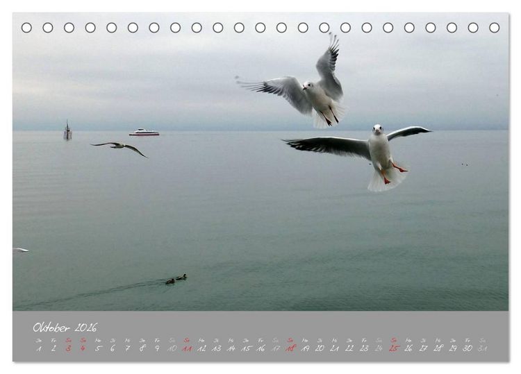Produktbild: Farbrausch Bodensee (Tischkalender 2026 DIN A5 quer), CALVENDO Monatskalender