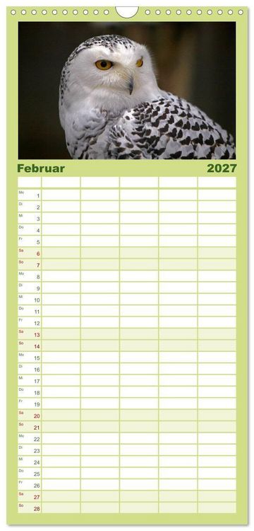 Produktbild: Familienplaner 2027 - Eulen mit 5 Spalten (Wandkalender, 21 x 45 cm) CALVENDO