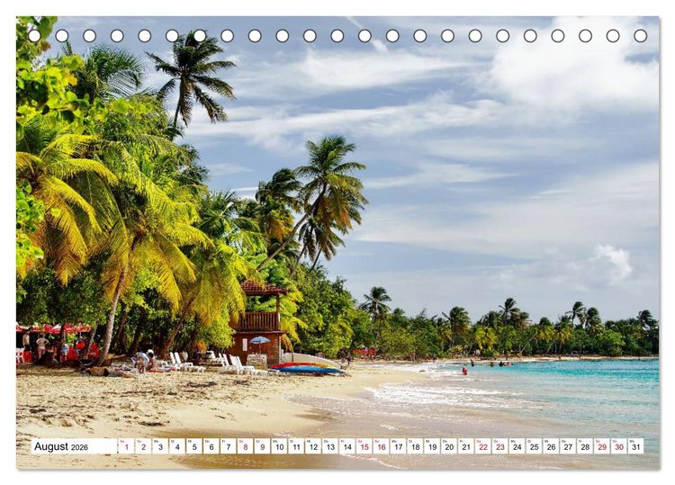 Produktbild: Martinique, die Traumstr&auml;nde (Tischkalender 2026 DIN A5 quer), CALVENDO Monatskalender