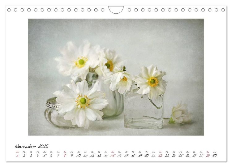 Produktbild: Kleine Bl&uuml;tenwunder (Wandkalender 2026 DIN A4 quer), CALVENDO Monatskalender