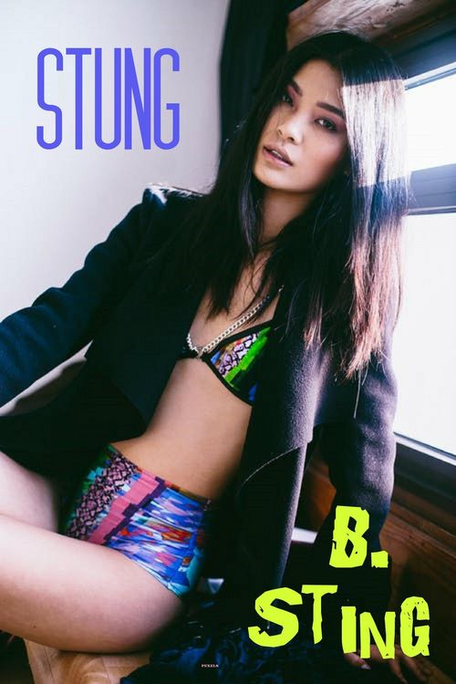 Produktbild: Stung (romance)