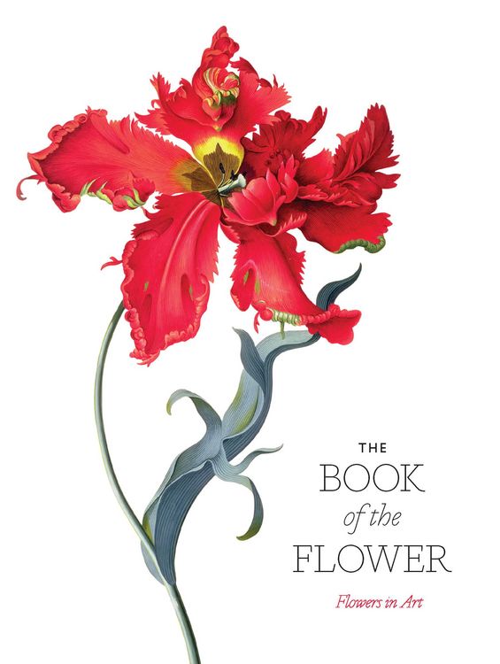 Produktbild: The Book of the Flower