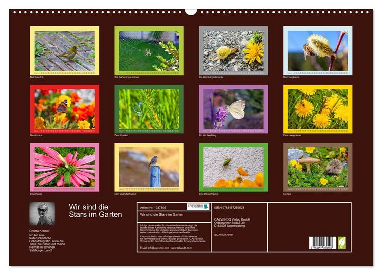 Produktbild: Wir sind die Stars im Garten (Wandkalender 2026 DIN A2 quer), CALVENDO Monatskalender