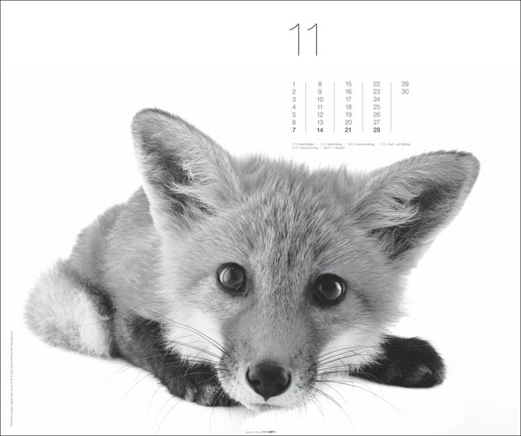Produktbild: Black & White Animals 2027