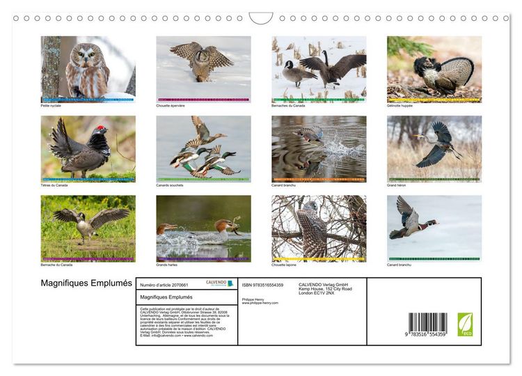 Produktbild: Magnifiques Emplum&eacute;s (Calendrier mural 2026 DIN A3 vertical), CALVENDO calendrier mensuel