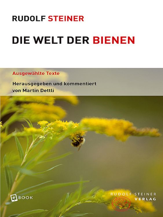 Produktbild: Die Welt der Bienen