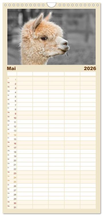 Produktbild: Familienplaner 2026 - Alpaka Gesichter mit 5 Spalten (Wandkalender, 21 x 45 cm) CALVENDO