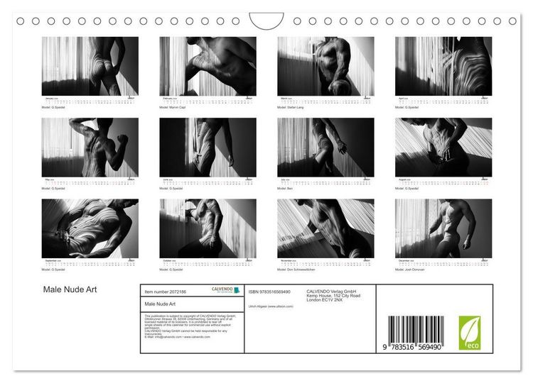 Produktbild: Male Nude Art (Wall Calendar 2026 DIN A4 landscape), CALVENDO 12 Month Wall Calendar