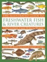 Produktbild: Gilpin, D: Illustrated Guide to Freshwater Fish & River Crea