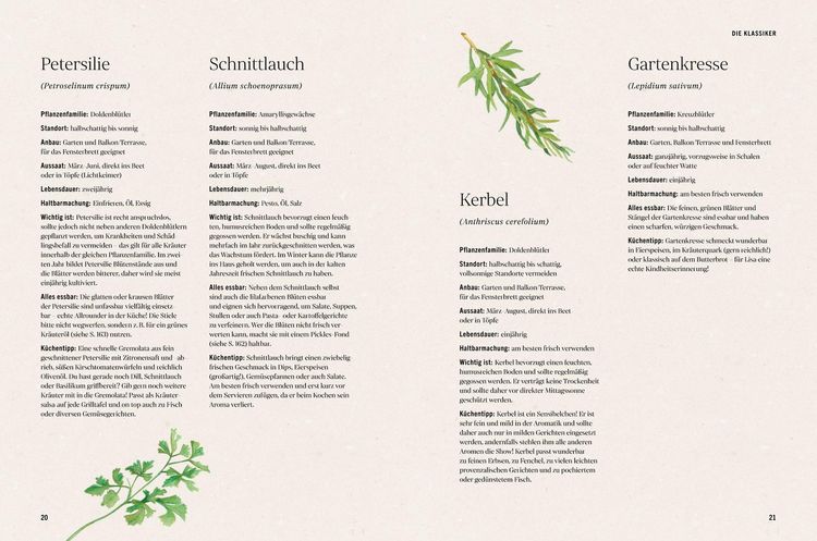 Produktbild: Unsere kreative Kr&auml;uterk&uuml;che