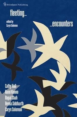 Produktbild: Fleeting Encounters