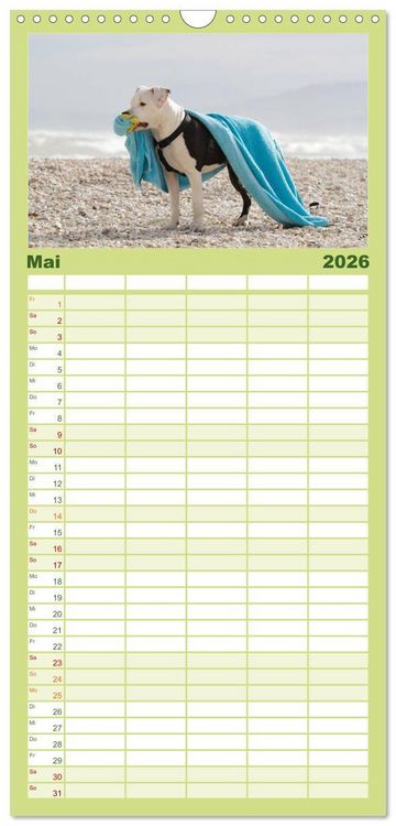 Produktbild: Familienplaner 2026 - Pit Bull und Co. - Geliebt, gef&uuml;rchtet, missverstanden mit 5 Spalten (Wandkalender, 21 x 45 cm) CALVENDO