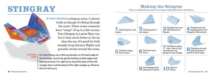 Produktbild: Flying Creatures Paper Airplane Book