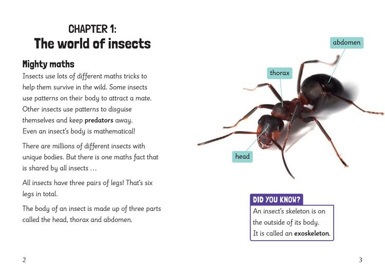 Produktbild: Insect Maths