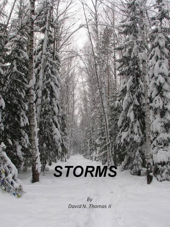 Produktbild: Storms (Steven Thomas, #4)