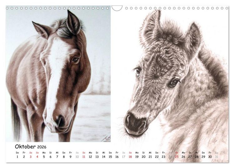 Produktbild: Arts & Horses (Wandkalender 2026 DIN A3 quer), CALVENDO Monatskalender