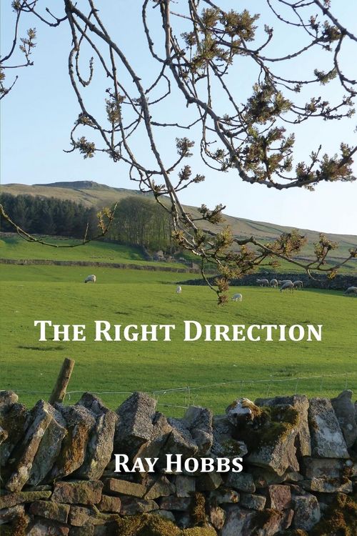 Produktbild: The Right Direction
