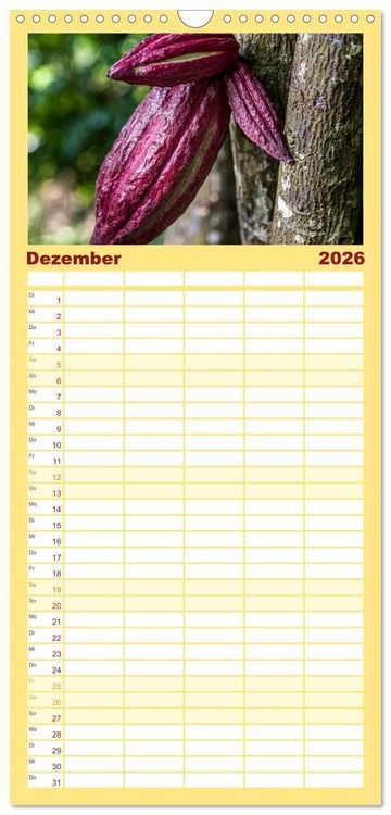 Produktbild: Familienplaner 2026 - Fr&uuml;chte der Karibik mit 5 Spalten (Wandkalender, 21 x 45 cm) CALVENDO