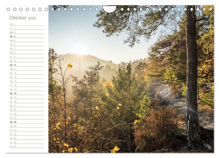 Produktbild: Der Sonne entgegen &ndash; Elbsandstein (Wandkalender 2026 DIN A4 quer), CALVENDO Monatskalender