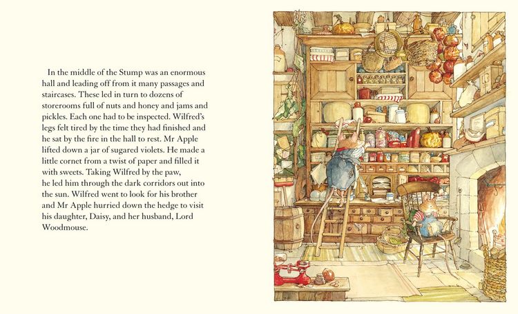 Produktbild: Spring Story_brambly Hedge Hb