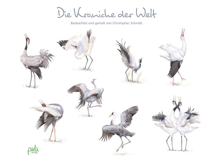 Produktbild: Die Kraniche der Welt