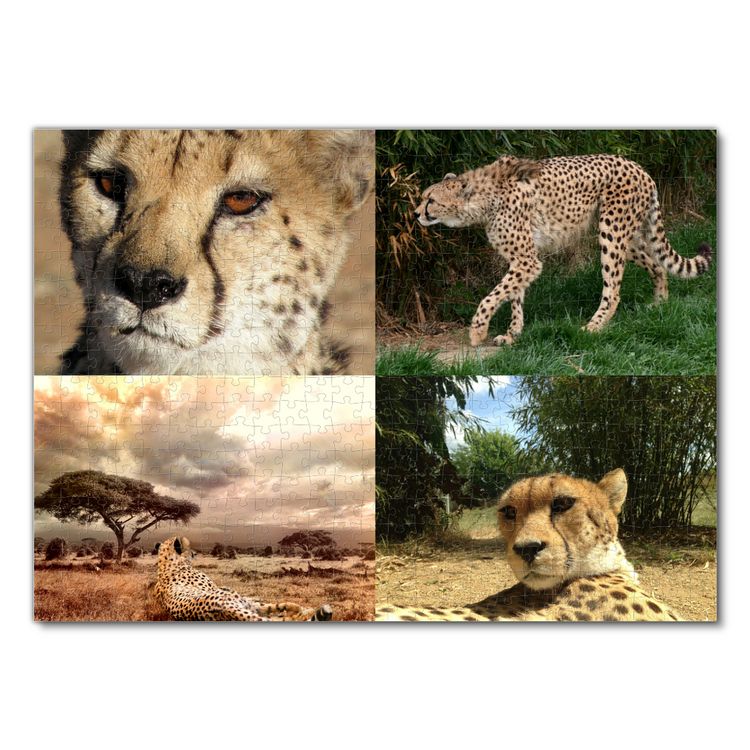 Produktbild: Lais Puzzle Collage Gepard 500 Teile