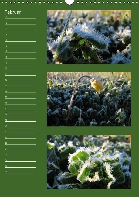 Produktbild: Zauberwelt der Blumen - Eiskristalle & Wasserperlen / Geburtstagskalender (Wandkalender immerw&auml;hrend DIN A3 hoch)