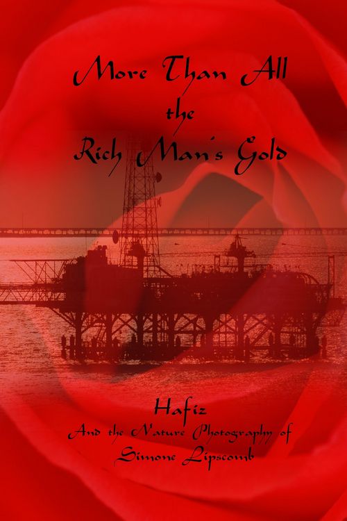 Produktbild: More Than All the Rich Man's Gold: Hafiz and the Nature Photography of Simone Lipscomb