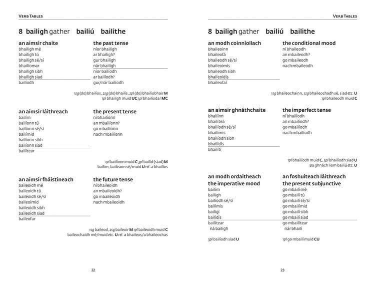 Produktbild: Easy Learning Irish Verbs